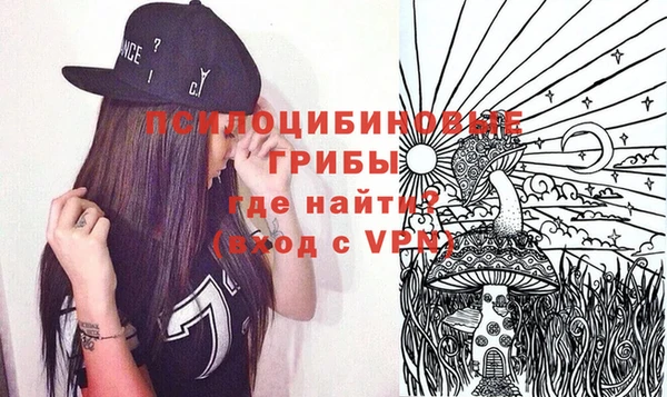 стафф Алексин