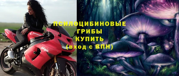 стафф Алексин