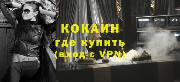 стафф Алексин