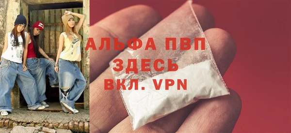 стафф Алексин